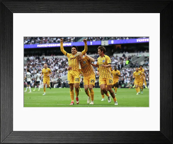 Framed Print : Tottenham Hotspur v Brighton and Hove Albion Premier League 25MAY25