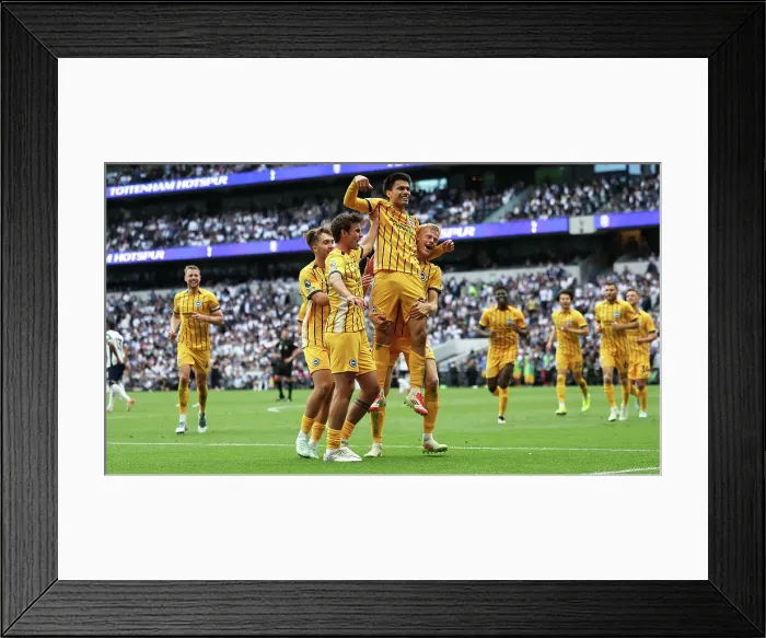 Framed Print : Tottenham Hotspur v Brighton and Hove Albion Premier League 25MAY25 Framed Print : Tottenham Hotspur v Brighton and Hove Albion Premier League 25MAY25