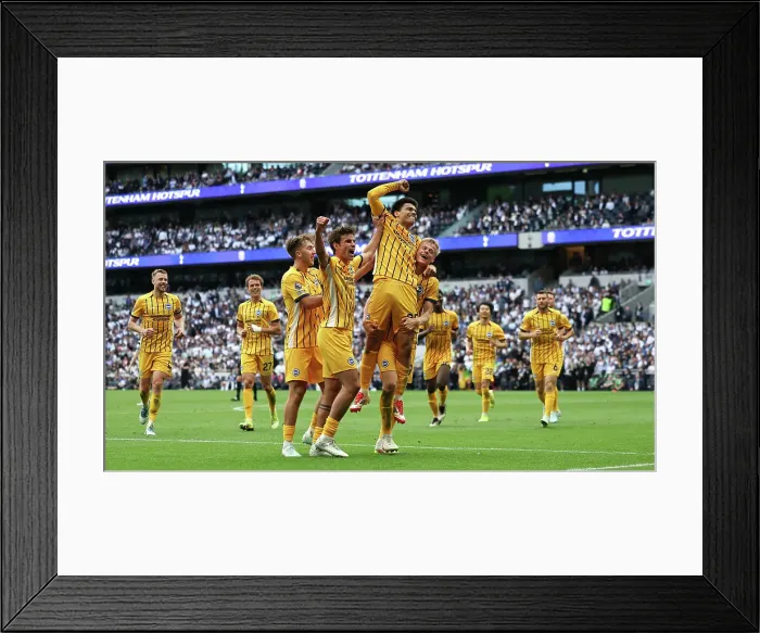 Framed Print : Tottenham Hotspur v Brighton and Hove Albion Premier League 25MAY25