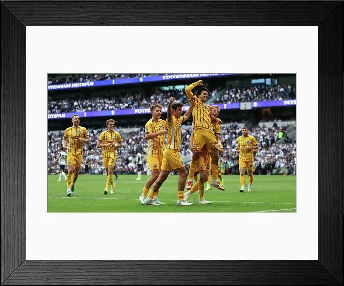 Framed Print : Tottenham Hotspur v Brighton and Hove Albion Premier League 25MAY25