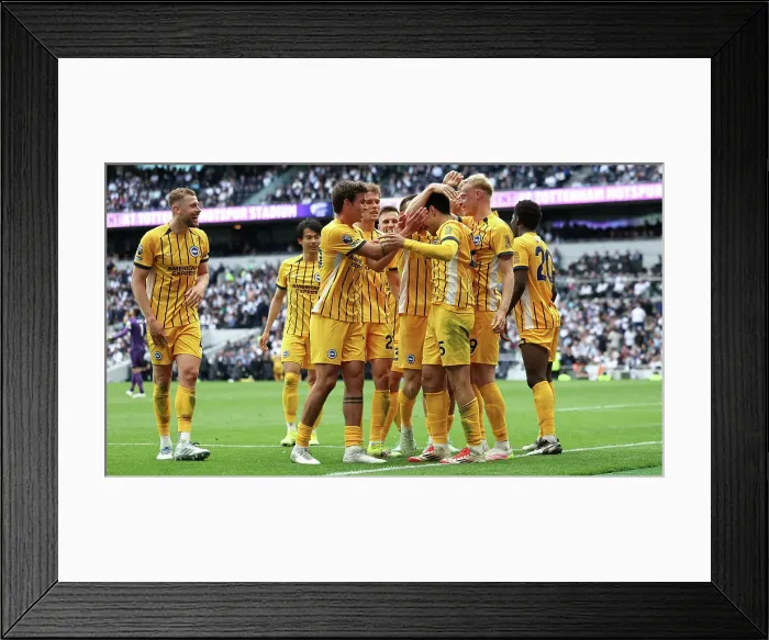 Framed Print : Tottenham Hotspur v Brighton and Hove Albion Premier League 25MAY25 Framed Print : Tottenham Hotspur v Brighton and Hove Albion Premier League 25MAY25