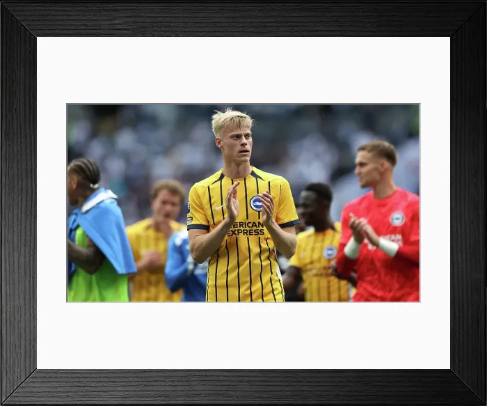 Framed Print : Tottenham Hotspur v Brighton and Hove Albion Premier League 25MAY25 Framed Print : Tottenham Hotspur v Brighton and Hove Albion Premier League 25MAY25