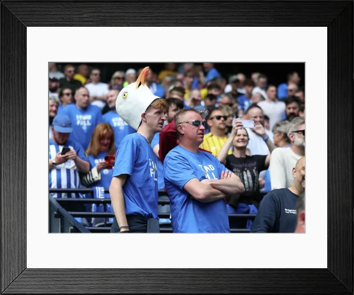 Framed Print : Tottenham Hotspur v Brighton and Hove Albion Premier League 25MAY25 Framed Print : Tottenham Hotspur v Brighton and Hove Albion Premier League 25MAY25