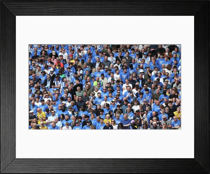 Framed Print : Tottenham Hotspur v Brighton and Hove Albion Premier League 25MAY25 Framed Print : Tottenham Hotspur v Brighton and Hove Albion Premier League 25MAY25