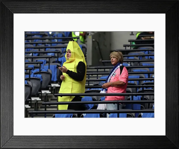 Framed Print : Tottenham Hotspur v Brighton and Hove Albion Premier League 25MAY25 Framed Print : Tottenham Hotspur v Brighton and Hove Albion Premier League 25MAY25