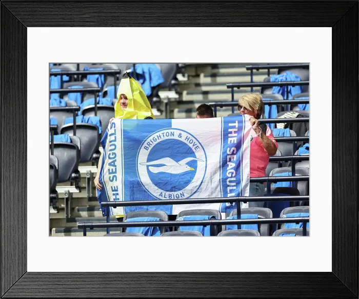Framed Print : Tottenham Hotspur v Brighton and Hove Albion Premier League 25MAY25 Framed Print : Tottenham Hotspur v Brighton and Hove Albion Premier League 25MAY25