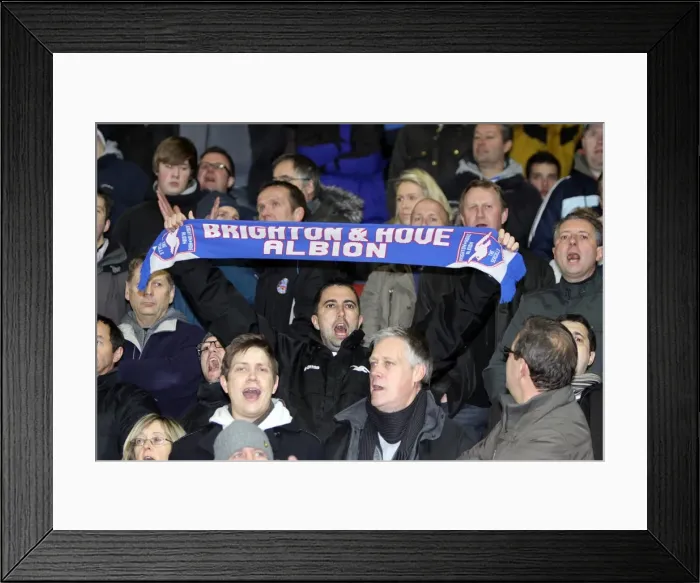 Framed Print : Sea of Seagulls: Brighton & Hove Albion FC Fans at Southampton (Nov 2010) Framed Print : Sea of Seagulls: Brighton & Hove Albion FC Fans at Southampton (Nov 2010)