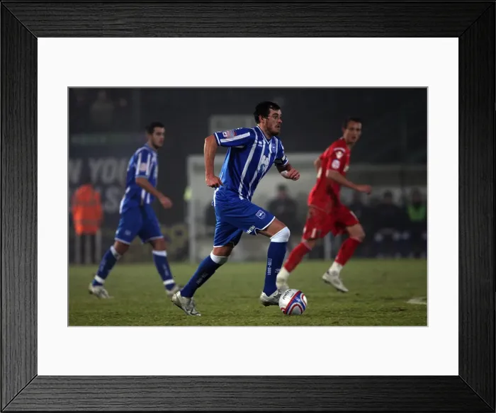 Framed Print : Brighton & Hove Albion vs Charlton Athletic: 2010-11 Home Game
