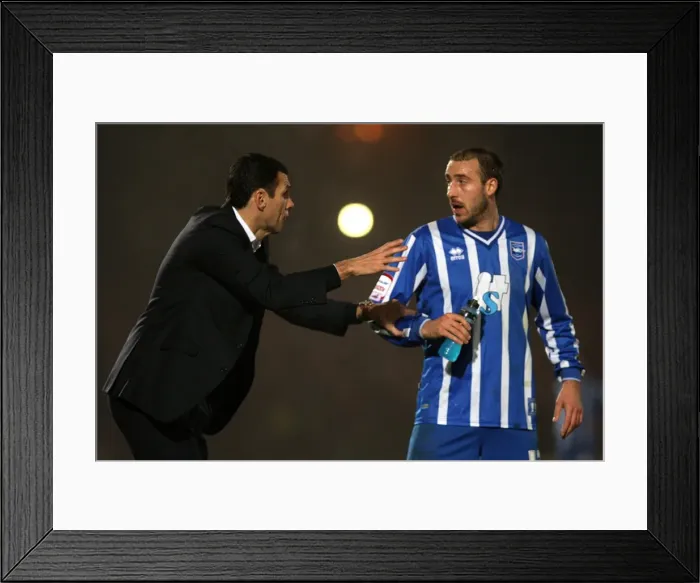 Framed Print : Brighton & Hove Albion vs Charlton Athletic: 2010-11 Home Game Framed Print : Brighton & Hove Albion vs Charlton Athletic: 2010-11 Home Game
