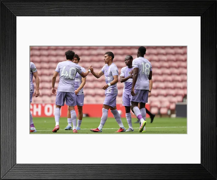 Framed Print : Southampton v Brighton and Hove Albion Pre Season Friendly 02AUG25