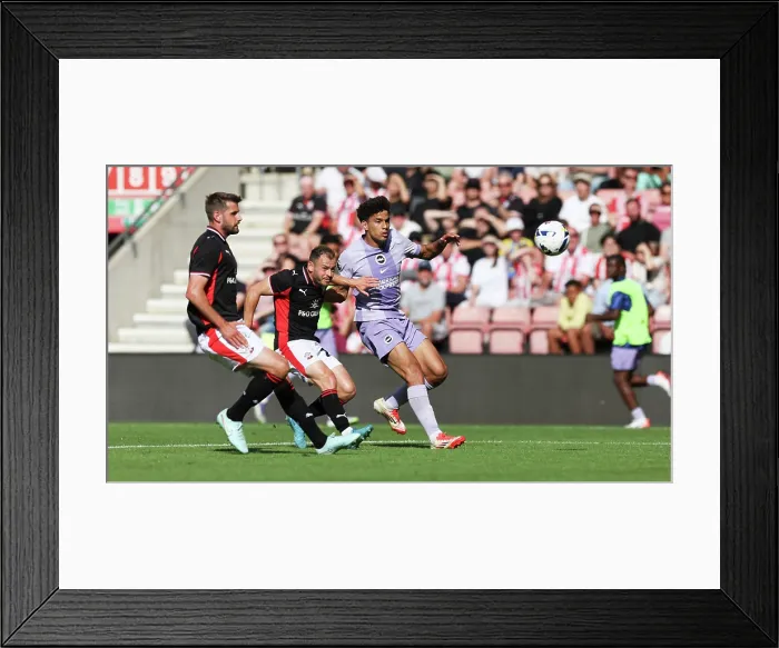 Framed Print : Southampton v Brighton and Hove Albion Pre Season Friendly 02AUG25 Framed Print : Southampton v Brighton and Hove Albion Pre Season Friendly 02AUG25
