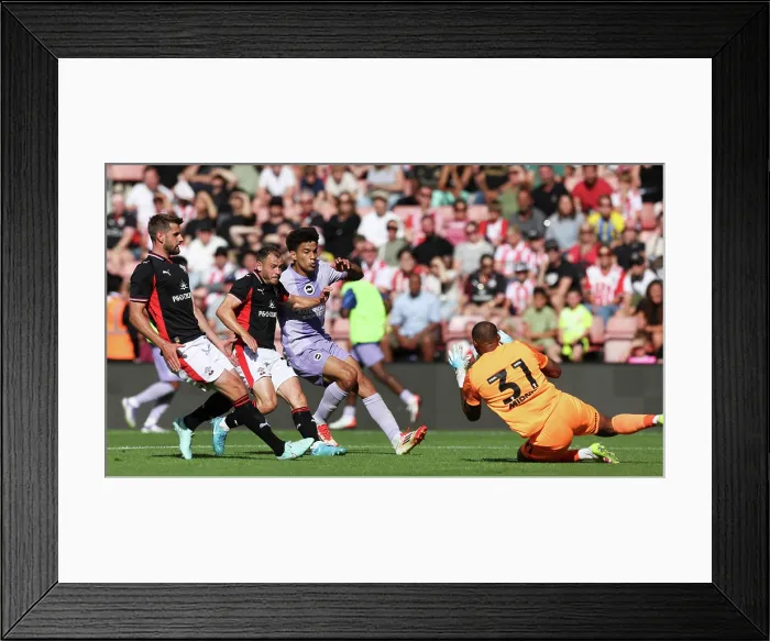 Framed Print : Southampton v Brighton and Hove Albion Pre Season Friendly 02AUG25 Framed Print : Southampton v Brighton and Hove Albion Pre Season Friendly 02AUG25
