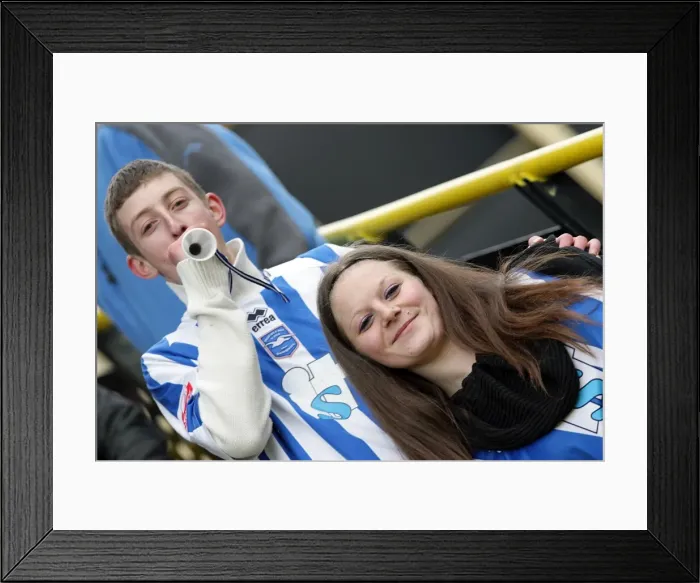 Framed Print : Sea of Seagulls: Brighton & Hove Albion vs Watford in the FA Cup (Withdean Era) Framed Print : Sea of Seagulls: Brighton & Hove Albion vs Watford in the FA Cup (Withdean Era)