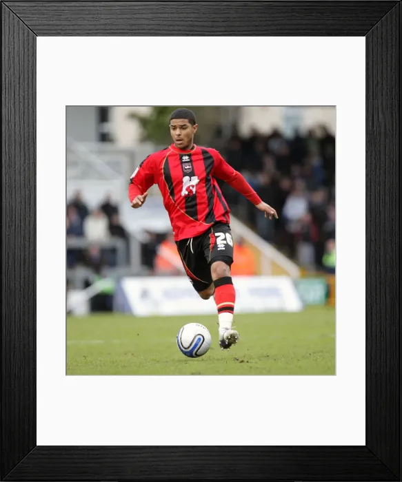 Framed Print : Brighton & Hove Albion FC: Liam Bridcutt in Action Framed Print : Brighton & Hove Albion FC: Liam Bridcutt in Action