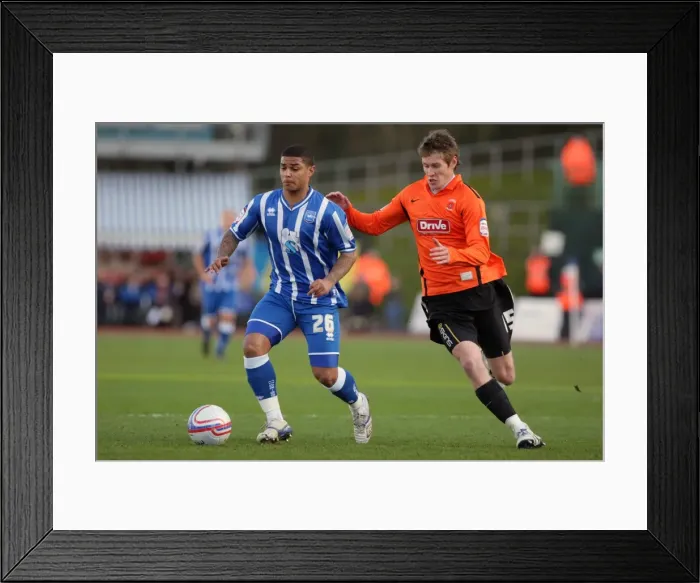 Framed Print : Brighton & Hove Albion vs Hartlepool United: 2010-11 Home Season