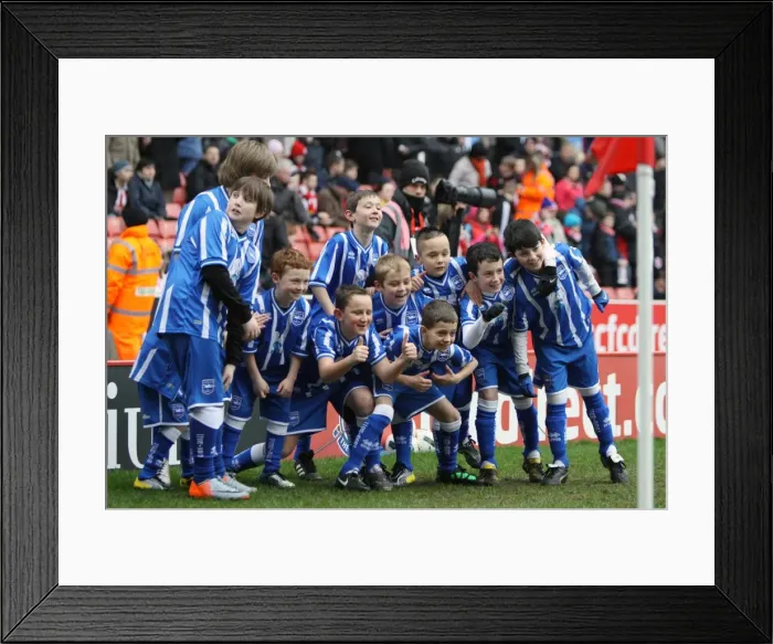 Framed Print : Brighton Mascots at Stoke City for the FA Cup 5th Round, Feb 2011 Framed Print : Brighton Mascots at Stoke City for the FA Cup 5th Round, Feb 2011