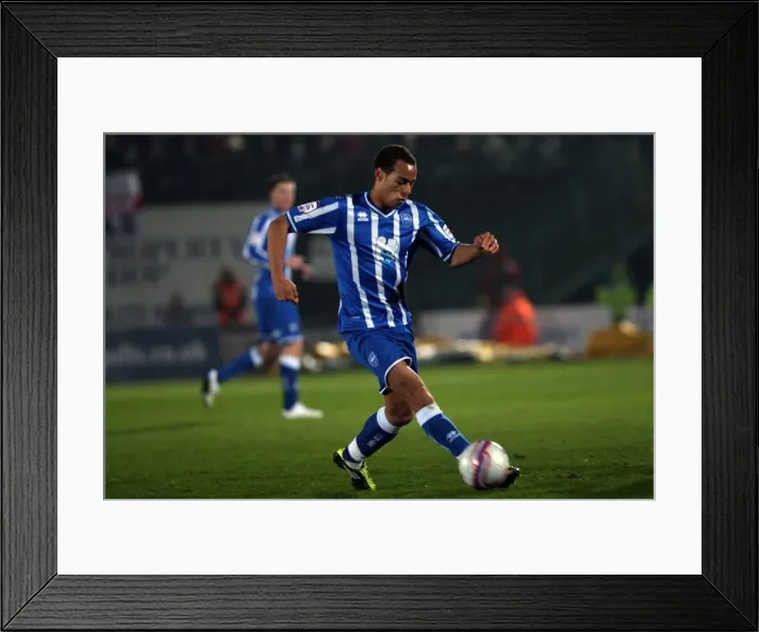 Framed Print : Plymouth Argyle Framed Print : Plymouth Argyle