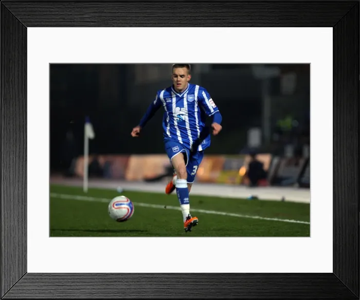 Framed Print : Brighton & Hove Albion 2010-11: Home Matches - Plymouth Argyle