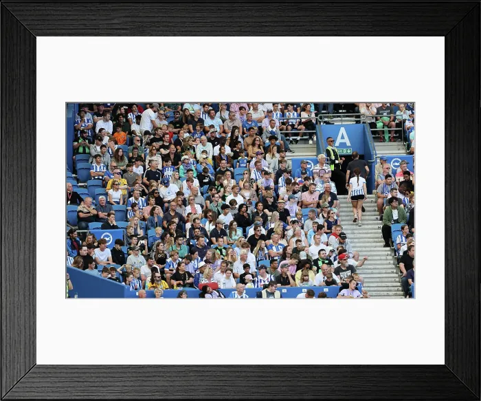 Framed Print : Brighton and Hove Albion v Wolfsburg Pre-Season Friendly 09AUG25