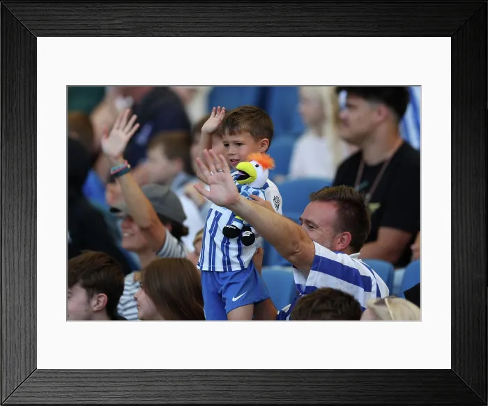 Framed Print : Brighton and Hove Albion v Wolfsburg Pre-Season Friendly 09AUG25