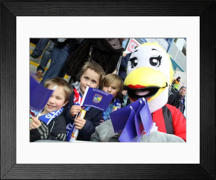 Framed Print : Brighton & Hove Albion: 2010-11 Season - Home Game vs. Carlisle United Framed Print : Brighton & Hove Albion: 2010-11 Season - Home Game vs. Carlisle United