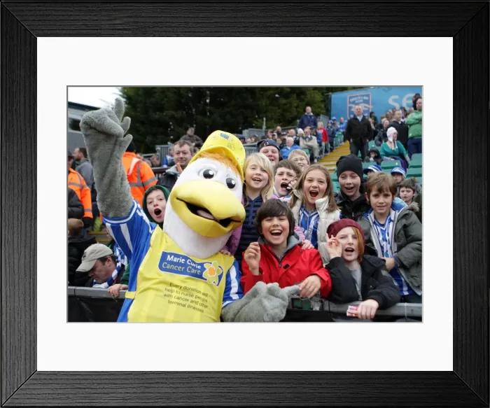 Framed Print : Brighton & Hove Albion 2010-11: Home Game vs. Tranmere Rovers Framed Print : Brighton & Hove Albion 2010-11: Home Game vs. Tranmere Rovers