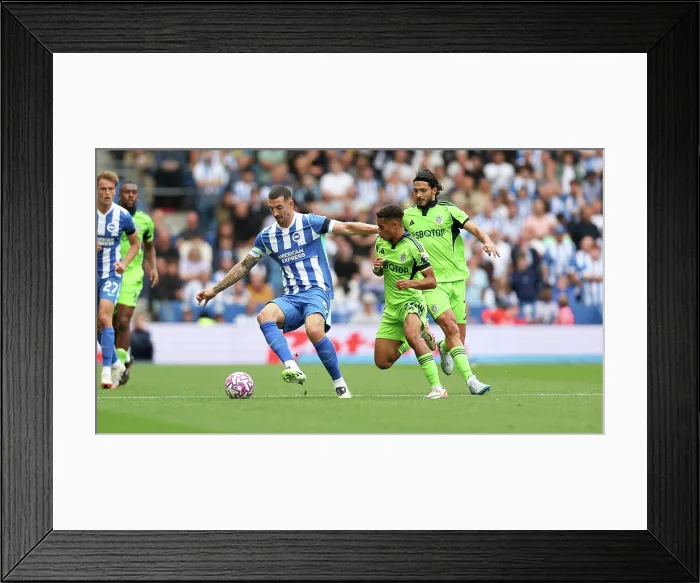 Framed Print : Brighton and Hove Albion v Fulham Premier League 16AUG25 Framed Print : Brighton and Hove Albion v Fulham Premier League 16AUG25