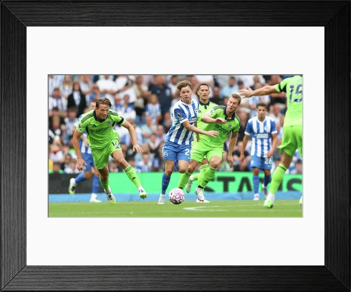 Framed Print : Brighton and Hove Albion v Fulham Premier League 16AUG25 Framed Print : Brighton and Hove Albion v Fulham Premier League 16AUG25