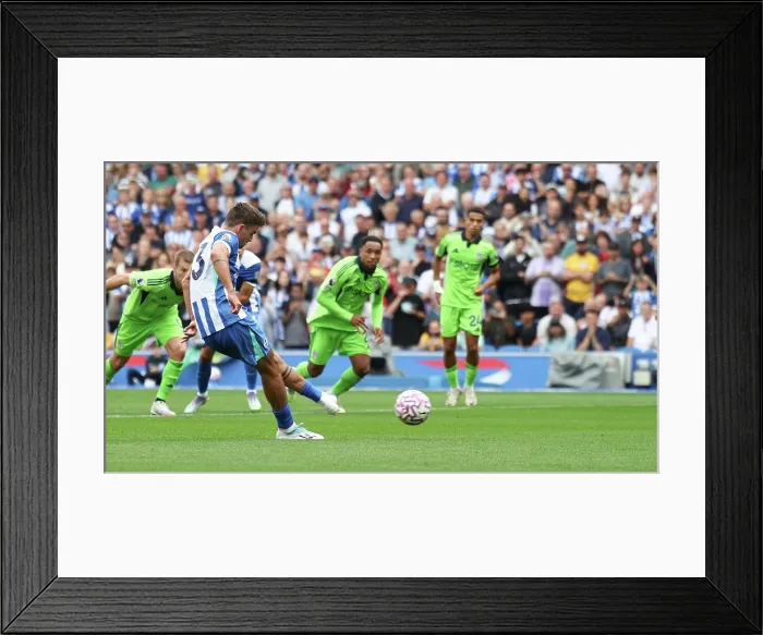 Framed Print : Brighton and Hove Albion v Fulham Premier League 16AUG25