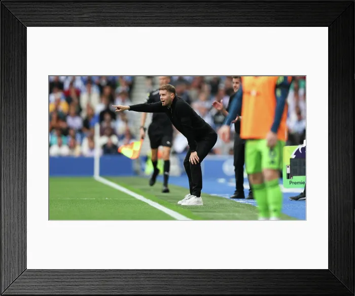 Framed Print : Brighton and Hove Albion v Fulham Premier League 16AUG25