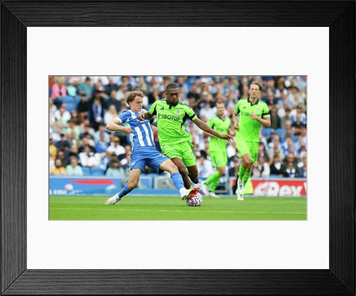 Framed Print : Brighton and Hove Albion v Fulham Premier League 16AUG25