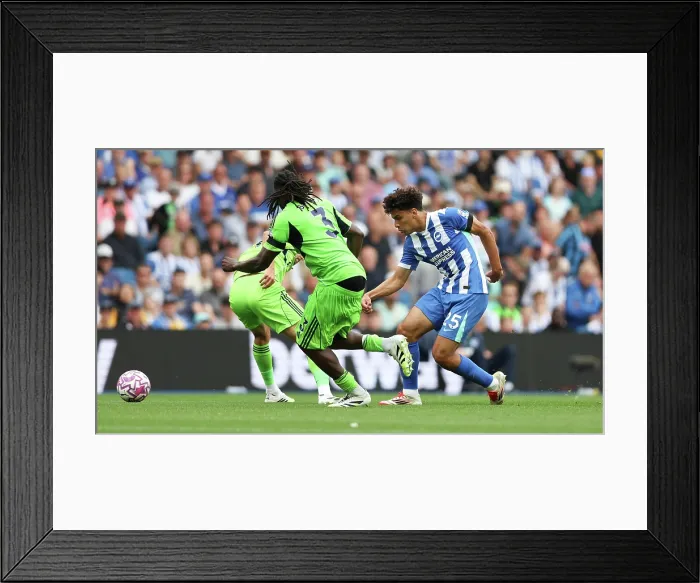 Framed Print : Brighton and Hove Albion v Fulham Premier League 16AUG25