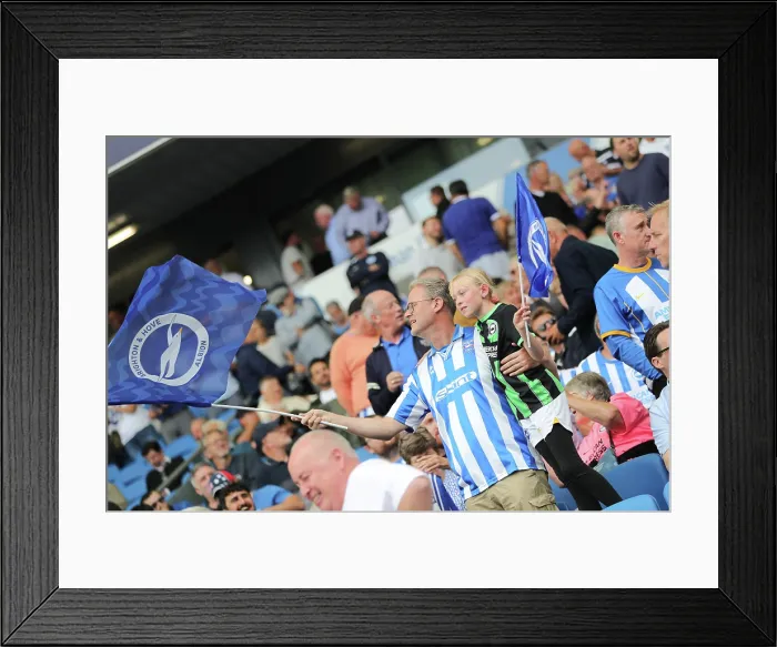 Framed Print : Brighton and Hove Albion v Fulham Premier League 16AUG25 Framed Print : Brighton and Hove Albion v Fulham Premier League 16AUG25