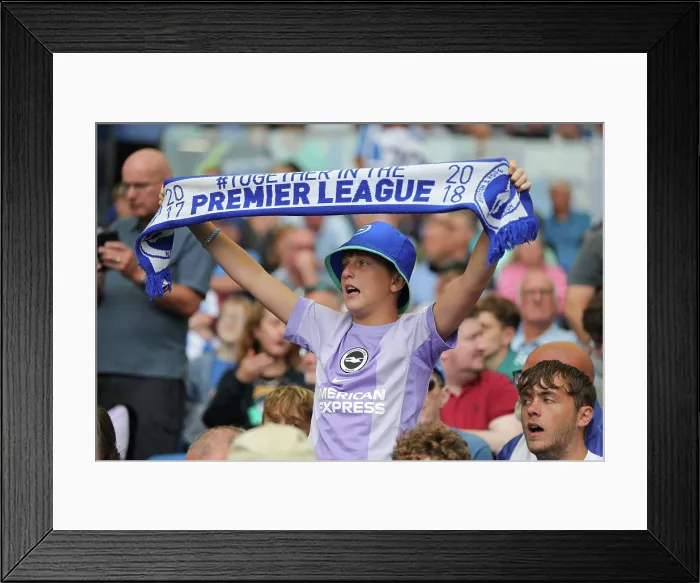 Framed Print : Brighton and Hove Albion v Fulham Premier League 16AUG25 Framed Print : Brighton and Hove Albion v Fulham Premier League 16AUG25