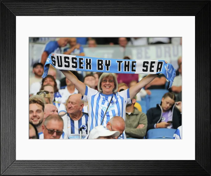Framed Print : Brighton and Hove Albion v Fulham Premier League 16AUG25 Framed Print : Brighton and Hove Albion v Fulham Premier League 16AUG25