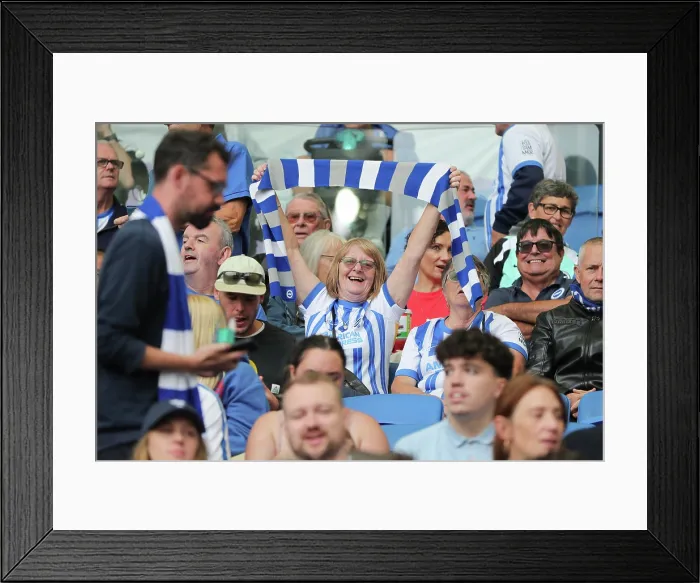 Framed Print : Brighton and Hove Albion v Fulham Premier League 16AUG25 Framed Print : Brighton and Hove Albion v Fulham Premier League 16AUG25