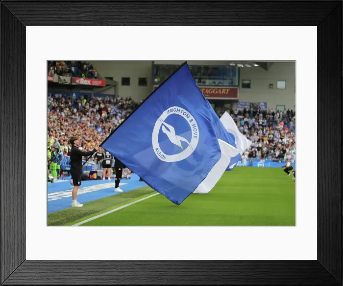 Framed Print : Brighton and Hove Albion v Fulham Premier League 16AUG25 Framed Print : Brighton and Hove Albion v Fulham Premier League 16AUG25
