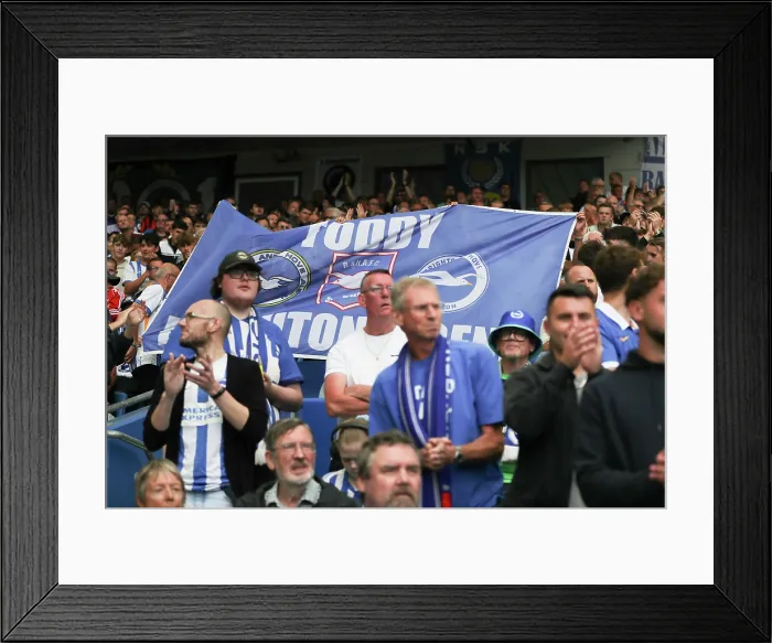 Framed Print : Brighton and Hove Albion v Fulham Premier League 16AUG25 Framed Print : Brighton and Hove Albion v Fulham Premier League 16AUG25