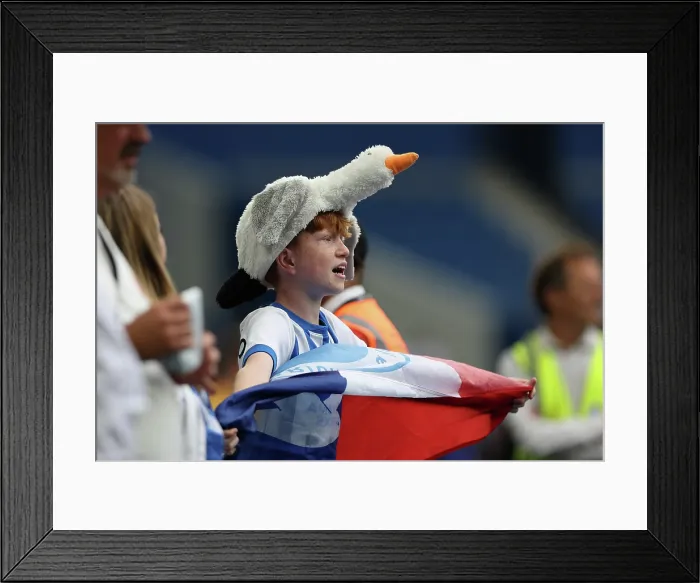 Framed Print : Brighton and Hove Albion v Fulham Premier League 16AUG25 Framed Print : Brighton and Hove Albion v Fulham Premier League 16AUG25