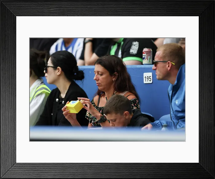 Framed Print : Brighton and Hove Albion v Fulham Premier League 16AUG25