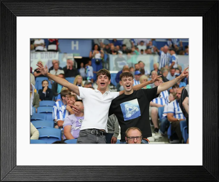 Framed Print : Brighton and Hove Albion v Fulham Premier League 16AUG25 Framed Print : Brighton and Hove Albion v Fulham Premier League 16AUG25