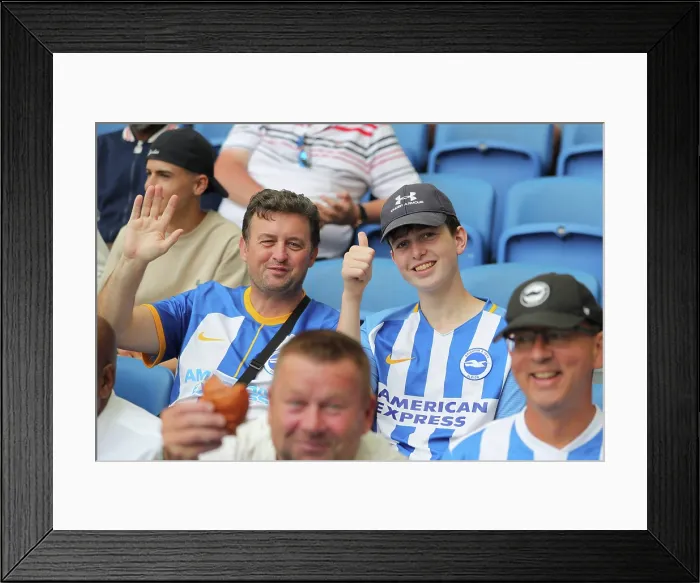 Framed Print : Brighton and Hove Albion v Fulham Premier League 16AUG25