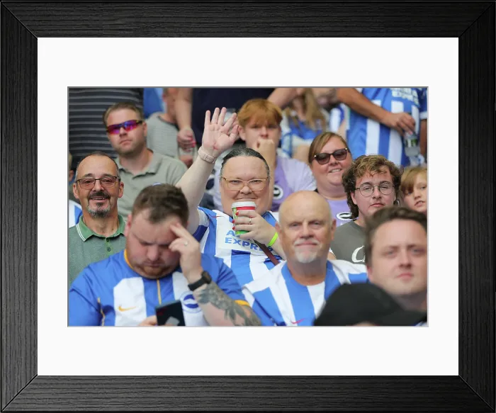 Framed Print : Brighton and Hove Albion v Fulham Premier League 16AUG25 Framed Print : Brighton and Hove Albion v Fulham Premier League 16AUG25