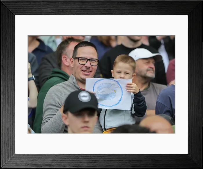 Framed Print : Brighton and Hove Albion v Fulham Premier League 16AUG25 Framed Print : Brighton and Hove Albion v Fulham Premier League 16AUG25