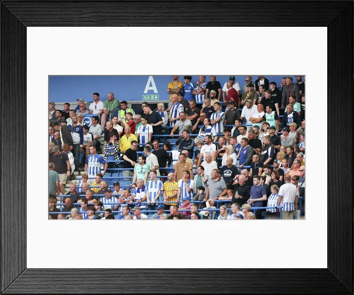 Framed Print : Brighton and Hove Albion v Fulham Premier League 16AUG25 Framed Print : Brighton and Hove Albion v Fulham Premier League 16AUG25