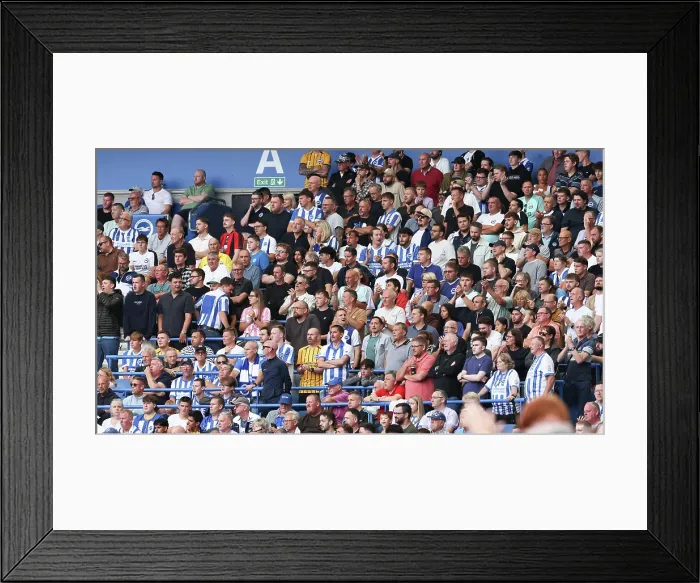 Framed Print : Brighton and Hove Albion v Fulham Premier League 16AUG25 Framed Print : Brighton and Hove Albion v Fulham Premier League 16AUG25