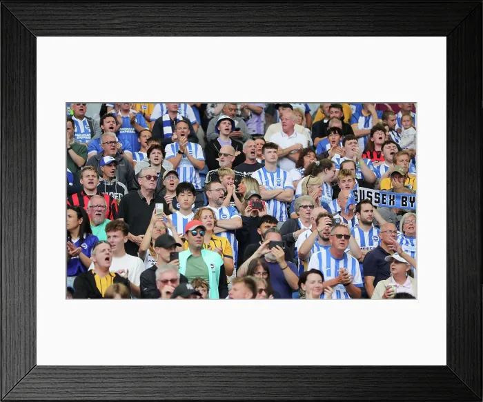 Framed Print : Brighton and Hove Albion v Fulham Premier League 16AUG25 Framed Print : Brighton and Hove Albion v Fulham Premier League 16AUG25