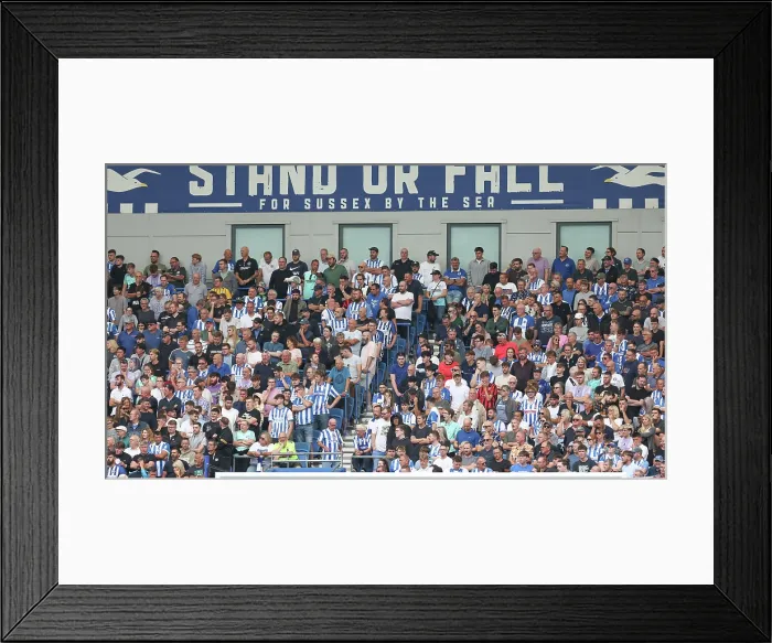 Framed Print : Brighton and Hove Albion v Fulham Premier League 16AUG25 Framed Print : Brighton and Hove Albion v Fulham Premier League 16AUG25