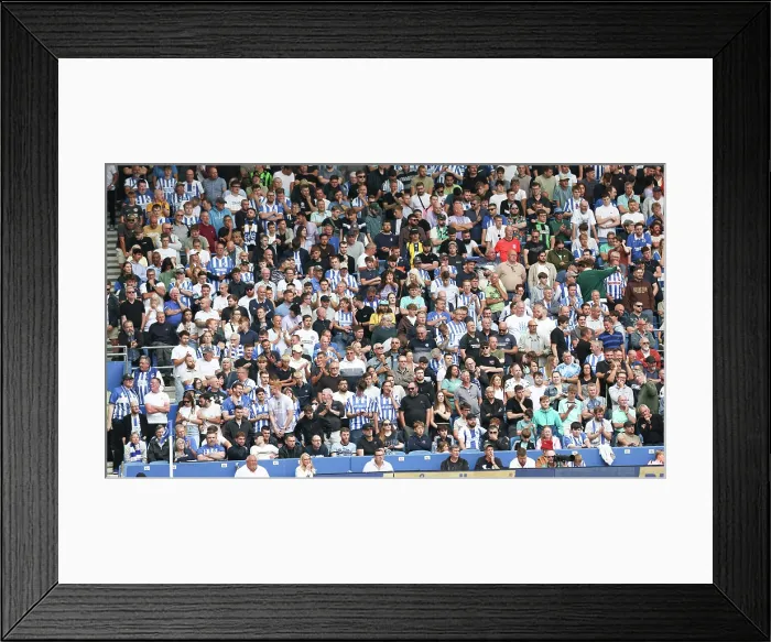 Framed Print : Brighton and Hove Albion v Fulham Premier League 16AUG25 Framed Print : Brighton and Hove Albion v Fulham Premier League 16AUG25