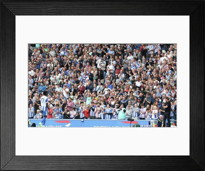Framed Print : Brighton and Hove Albion v Fulham Premier League 16AUG25 Framed Print : Brighton and Hove Albion v Fulham Premier League 16AUG25